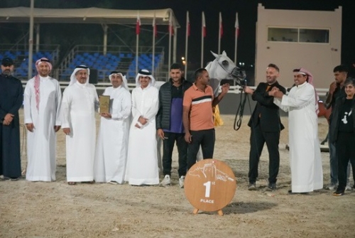 The Bahrain Arabian Horse Beauty Championship Begins On A High Note The Bahrain Arabian Horse Beauty Championship Begins On A High Note