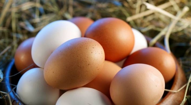 UAE bans eggs, chicks, meats from these countries