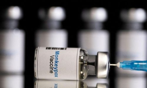 WHO to decide on sounding highest alarm on monkeypox