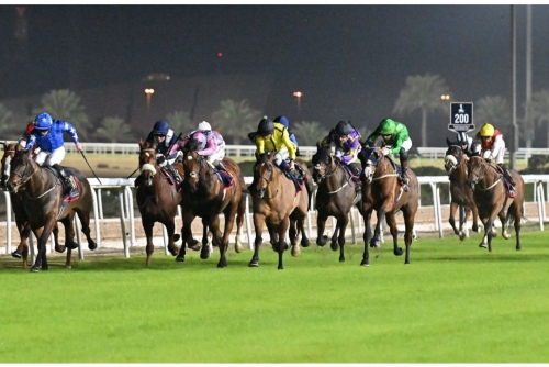 Strong field set to compete in Bahrain Turf Series 2025 opener Strong field set to compete in Bahrain Turf Series 2025 opener