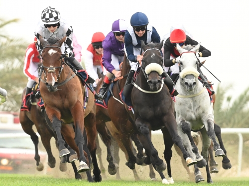 Strong competition in back-to-back days of races at REHC