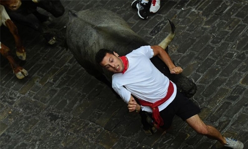 Ten hurt in Spanish bull running fest Ten hurt in Spanish bull running fest