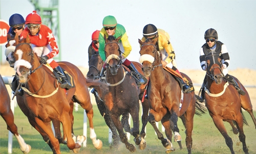 Favourite Thorkhill Star clinches race Favourite Thorkhill Star clinches race