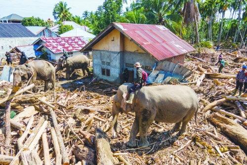 Indonesia suffers food, medical shortages as Asia flood tolls rise Indonesia suffers food, medical shortages as Asia flood tolls rise