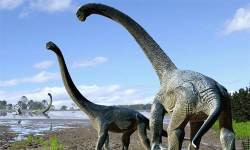 Dinosaur-era mushroom fossil discovered in Brazil