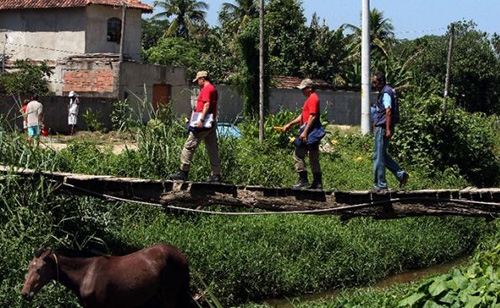 Rio fights dengue fever explosion ahead of Olympics	