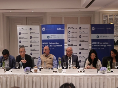 India playing global role in advancing energy transition: US-India Business Council India playing global role in advancing energy transition: US-India Business Council