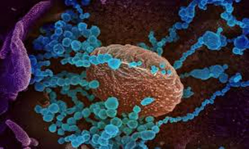 New Covid-19 strains spread more quickly: UK medical chief