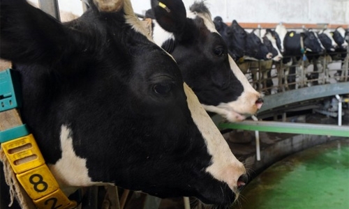 Dairy firm fined for  fake goods sale