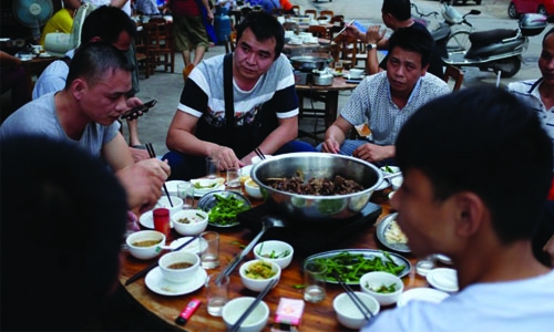 Taiwan bans eating dogs and cats