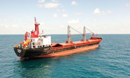 First foreign-flagged ship arrives in Ukraine since February, awaits grain load