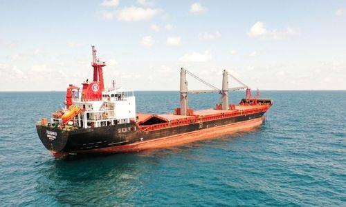 First foreign-flagged ship arrives in Ukraine since February, awaits grain load First foreign-flagged ship arrives in Ukraine since February, awaits grain load
