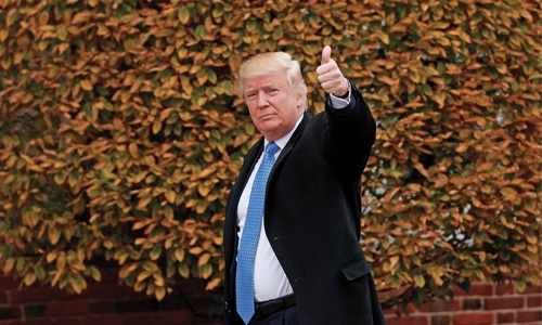 Trump’s cabinet picks