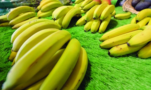 Banana may be going extinct, new study says