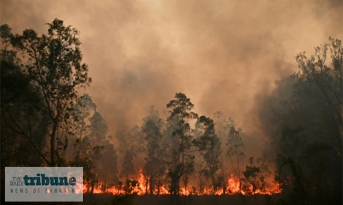 Australian volunteer firefighter charged with lighting bushfires