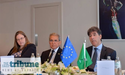 Human rights chief stresses Saudi Arabia’s openness at EU meet