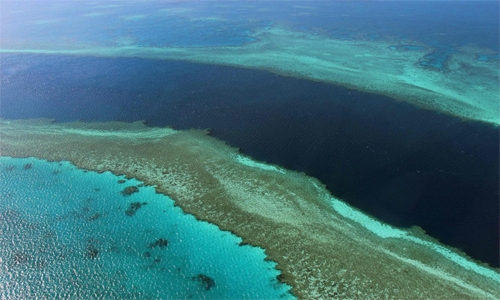 Great Barrier Reef avoids UNESCO ‘in danger’ listing