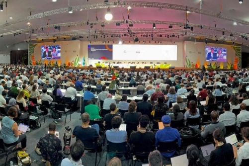 India pulls bid to host 2028 COP33 climate summit: Indian govt source