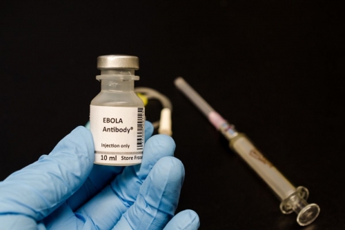 Ebola vaccine could take nine months as death toll rises further, WHO warns Ebola vaccine could take nine months as death toll rises further, WHO warns