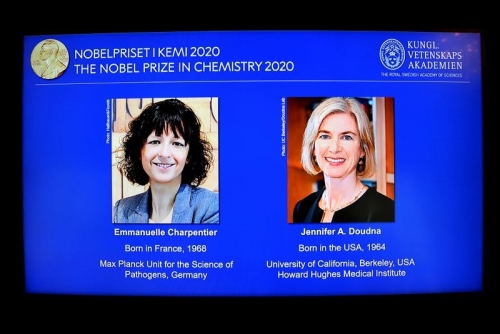 Creators of gene 'scissors' clinch Nobel as women sweep chemistry