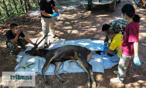 Dead deer found in Thailand with 7kg of plastic in stomach Dead deer found in Thailand with 7kg of plastic in stomach