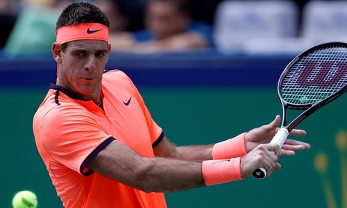 Del Potro makes leap in rankings after Stockholm win