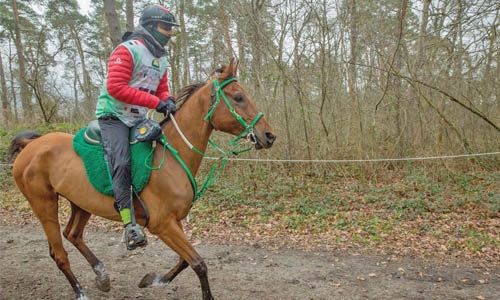 Endurance team triumphs in France Endurance team triumphs in France