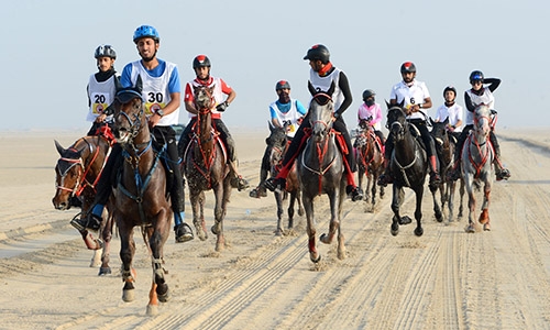 Five races set for the season