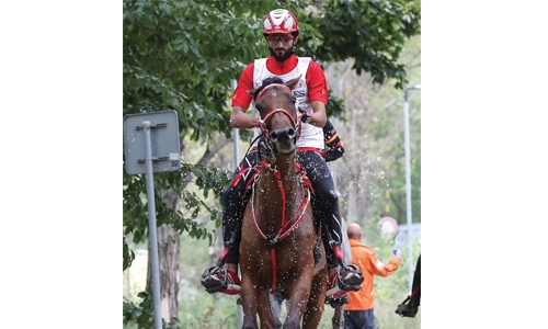 Fine finish for Shaikh Nasser Fine finish for Shaikh Nasser