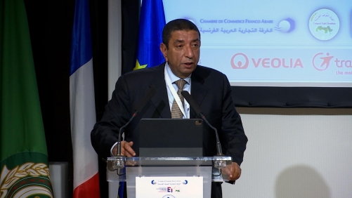Nass calls for strengthening Arab-French Economic ties
