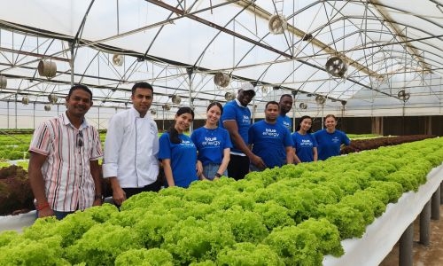 Hilton Bahrain extends partnership with Peninsula Farms for composting donation to reduce food waste