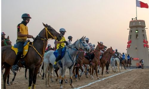 Endurance horseracing calendar announced