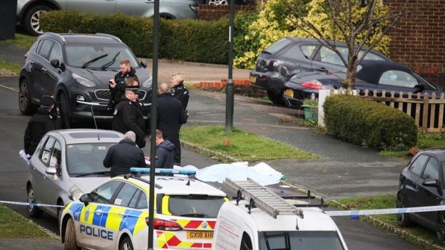Crawley Down: Double murder suspect in 'unstable' condition