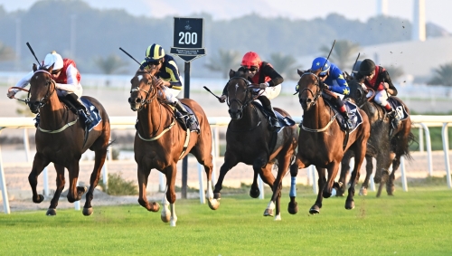 Bahrain Turf Series resumes today at REHC