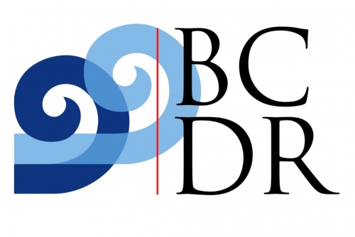 Concern over plan to lower BCDR case threshold