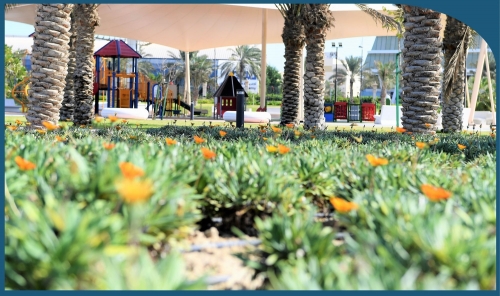 Bahrain to Plant 100,000 Trees in Historic Muharraq City