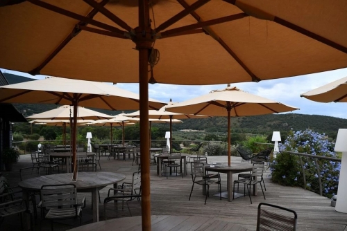 Woman killed when umbrella blows into her at restaurant