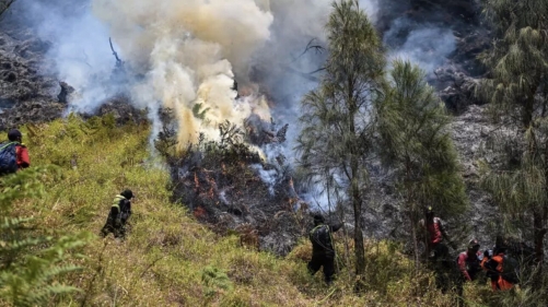 Indonesia Battles Mount Bromo Wildfire as El Niño Strengthens Indonesia Battles Mount Bromo Wildfire as El Niño Strengthens