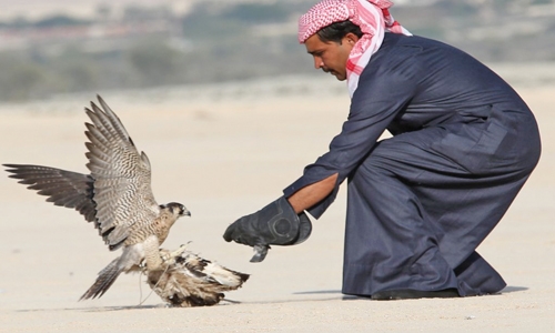 Wildlife protection decrees hailed Wildlife protection decrees hailed