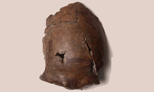 Papua New Guinea skull ‘world’s oldest tsunami victim’