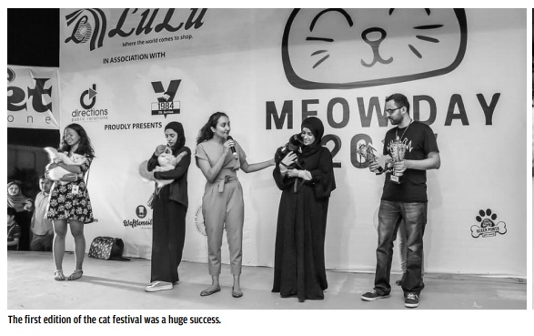 Cat festival returns for second edition