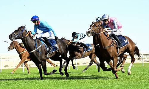 Rashid Equestrian and Horseracing Club set for thrilling season-finale