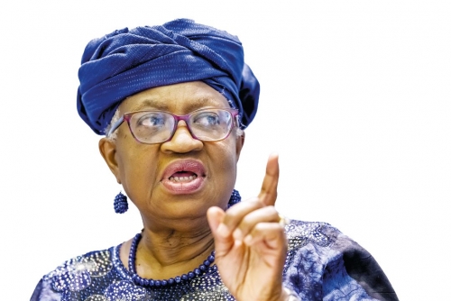 WTO hikes 2025 trade growth outlook but tariffs to bite in 2026