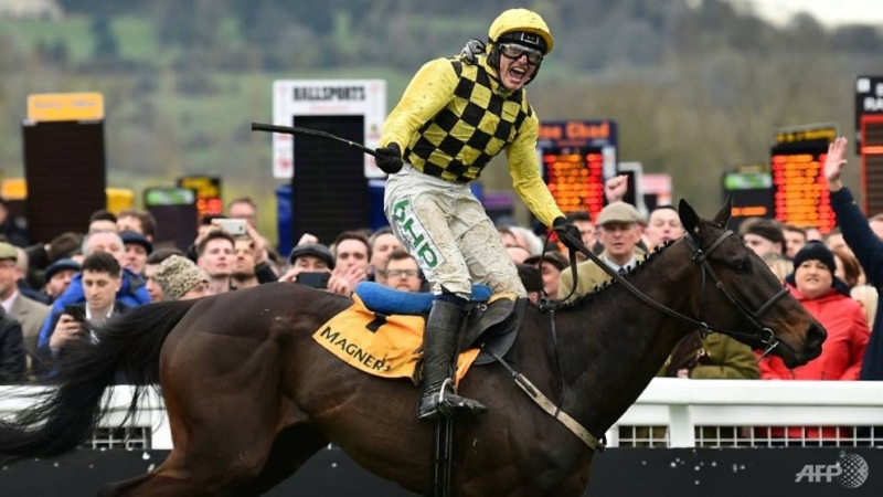 British horse racing suspended over coronavirus outbreak