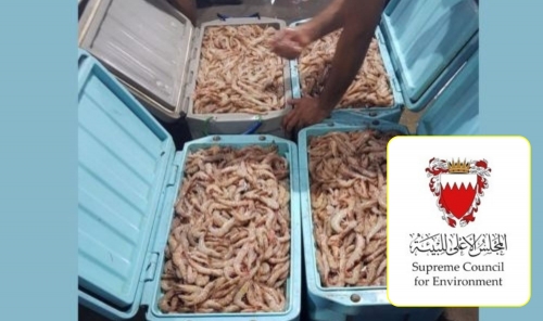 Shrimp Fishing Ban to End on August 1 Shrimp Fishing Ban to End on August 1