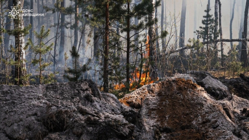 Forest fire burns through Chernobyl exclusion zone after drone crash: Ukraine