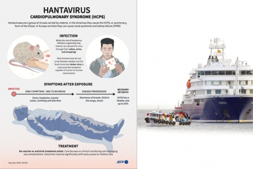 Hantavirus crisis: WHO recommendations Hantavirus crisis: WHO recommendations