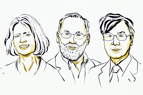 Medicine Nobel to trio who identified immune system's 'security guards'