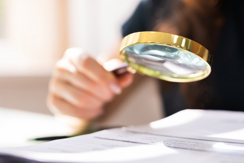 Fake papers, sham hires Fake papers, sham hires