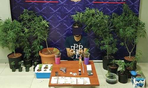 Bahraini arrested for planting Marijuana at home